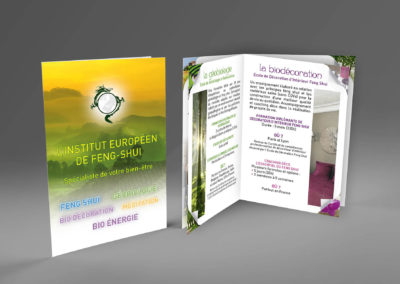 Brochure IEFS